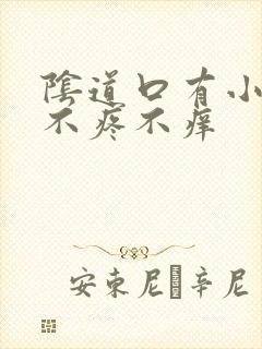 阴道口有小肉粒不疼不痒封面