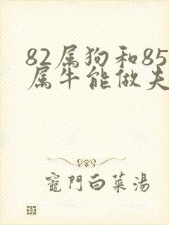 82属狗和85属牛能做夫妻吗封面