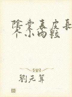 阴囊表皮长了一个小肉粒