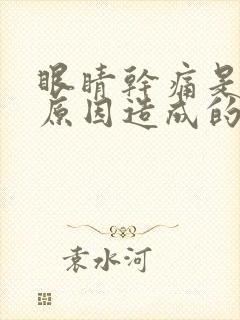 眼睛干痛是什么原因造成的