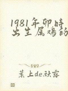 1981年卯时出生属鸡的女孩命运