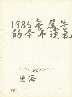 1985年属牛的今年运气