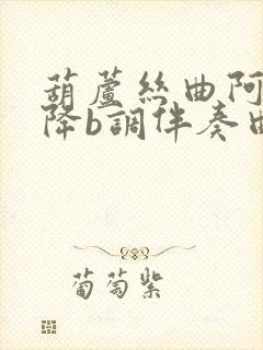 葫芦丝曲阿里郎降b调伴奏曲