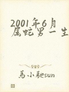 2001年6月属蛇男一生命运