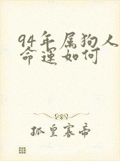 94年属狗人的命运如何