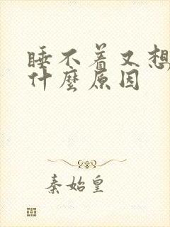 睡不着又想睡是什么原因