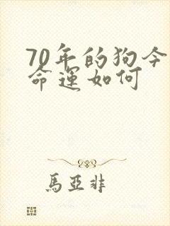 70年的狗今年命运如何