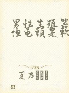 男性生殖器勃起但龟头是软的怎么回事啊