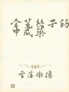 含菟丝子的补肾中成药