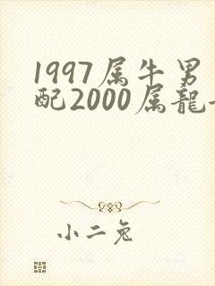 1997属牛男配2000属龙女怎样