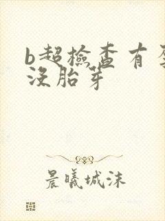 b超检查有孕囊没胎芽