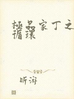 极品家丁之因果循环