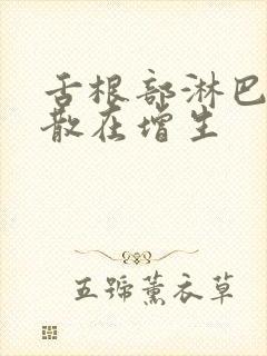 舌根部淋巴滤泡散在增生封面