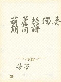 葫芦丝独奏花又期简谱封面