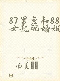 87男兔和88女龙配婚姻好不好