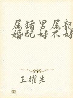 属猪男属龙女的婚配好不好