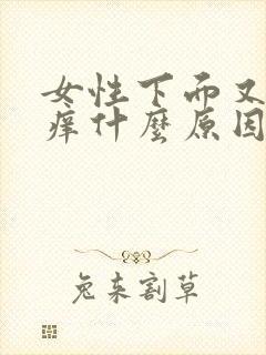 女性下面又疼又痒什么原因