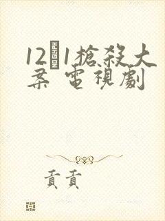 12·1枪杀大案 电视剧