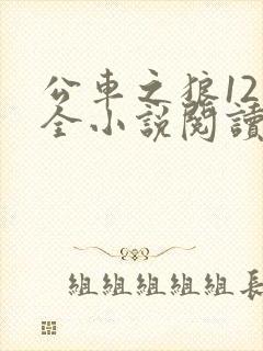 公车之狼12集全小说阅读