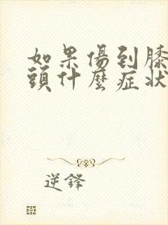 如果伤到膝盖骨头什么症状封面