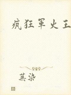 疯狂军火王封面