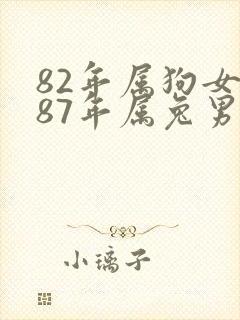 82年属狗女和87年属兔男的婚配好不好