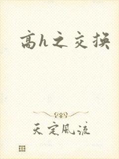 高h之交换封面