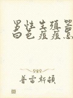 男性生殖器官长白色痘痘怎么回事