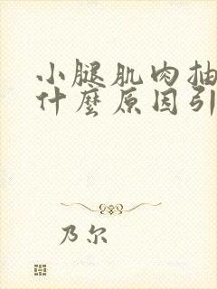 小腿肌肉抽筋是什么原因引起的