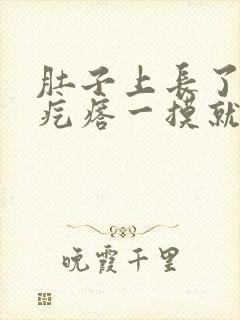 肚子上长了个硬疙瘩一摸就疼