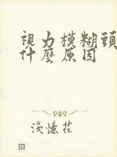 视力模糊头晕是什么原因