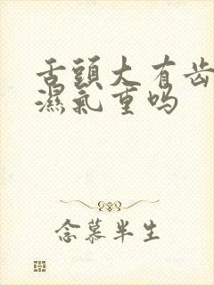 舌头大有齿痕是湿气重吗封面