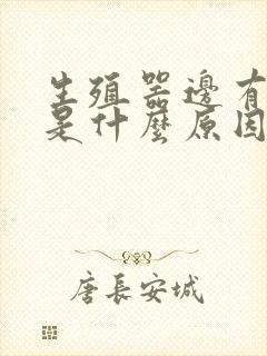 生殖器边有水泡是什么原因