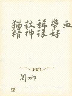 猫拉稀带血但是精神很好封面