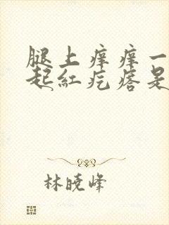 腿上痒痒一挠就起红疙瘩是怎么回事