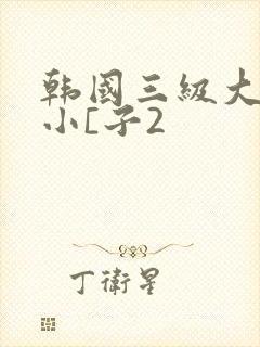 韩国三级大胸的小[子2封面
