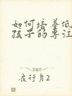 如何培养低年级孩子的专注力