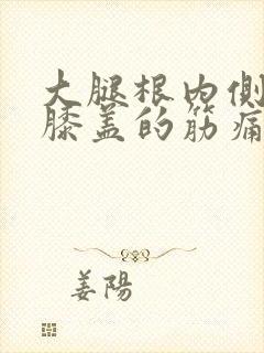 大腿根内侧连着膝盖的筋痛