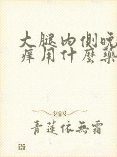 大腿内侧晚上瘙痒用什么药膏好