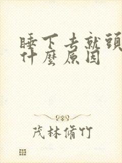 睡下去就头晕是什么原因