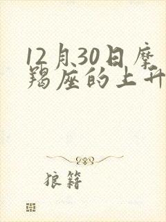 12月30日摩羯座的上升星座是什么