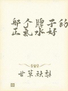 哪个牌子的藿香正气水好