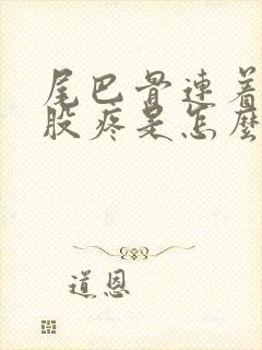 尾巴骨连着后屁股疼是怎么回事