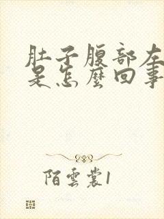 肚子腹部左边疼是怎么回事