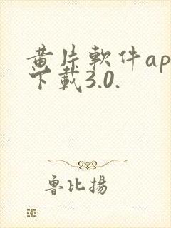 黄片软件app下载3.0.封面