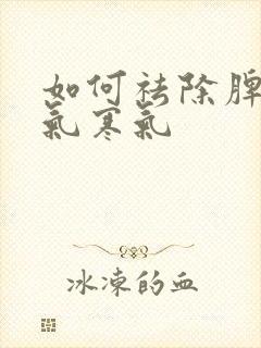 如何祛除脾胃湿气寒气