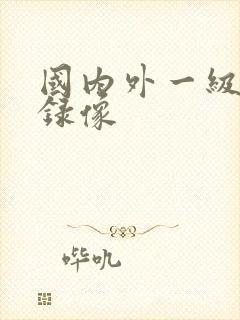 国内外一级黄色录像