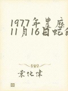 1977年农历11月16日蛇的命运及财运