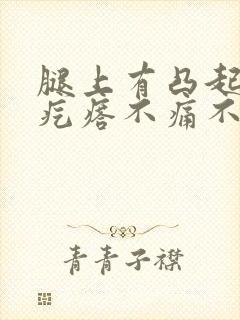 腿上有凸起的小疙瘩不痛不痒封面