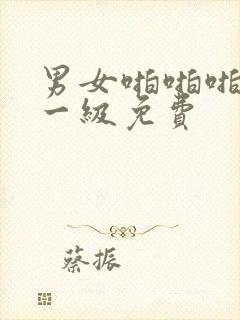 男女啪啪啪网站一级免费